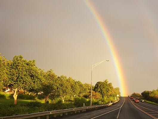 Critical Illness Insurance