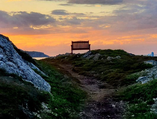 Disability Insurance